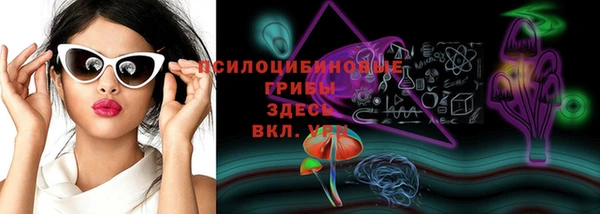 соль ск Кинешма