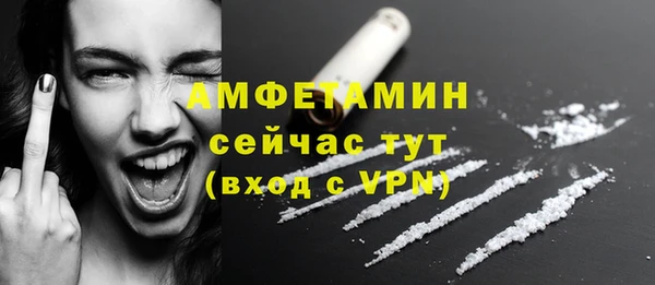 мдпв Киреевск
