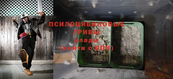 мдпв Киреевск