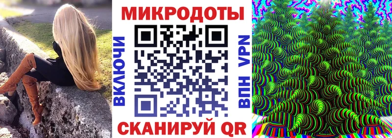 Купить где  Светлый  Галлюциногенные грибы Psilocybine cubensis 